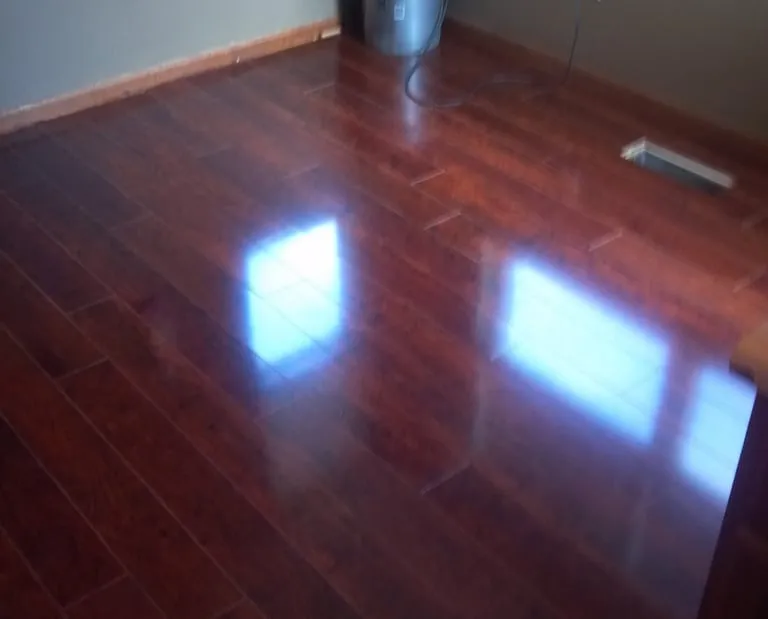 Glossy dark wood flooring reflecting light from nearby windows